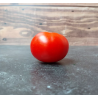 Tomate Rouge de Gand Semailles