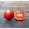 Tomate Merveille de Bastogne Semailles